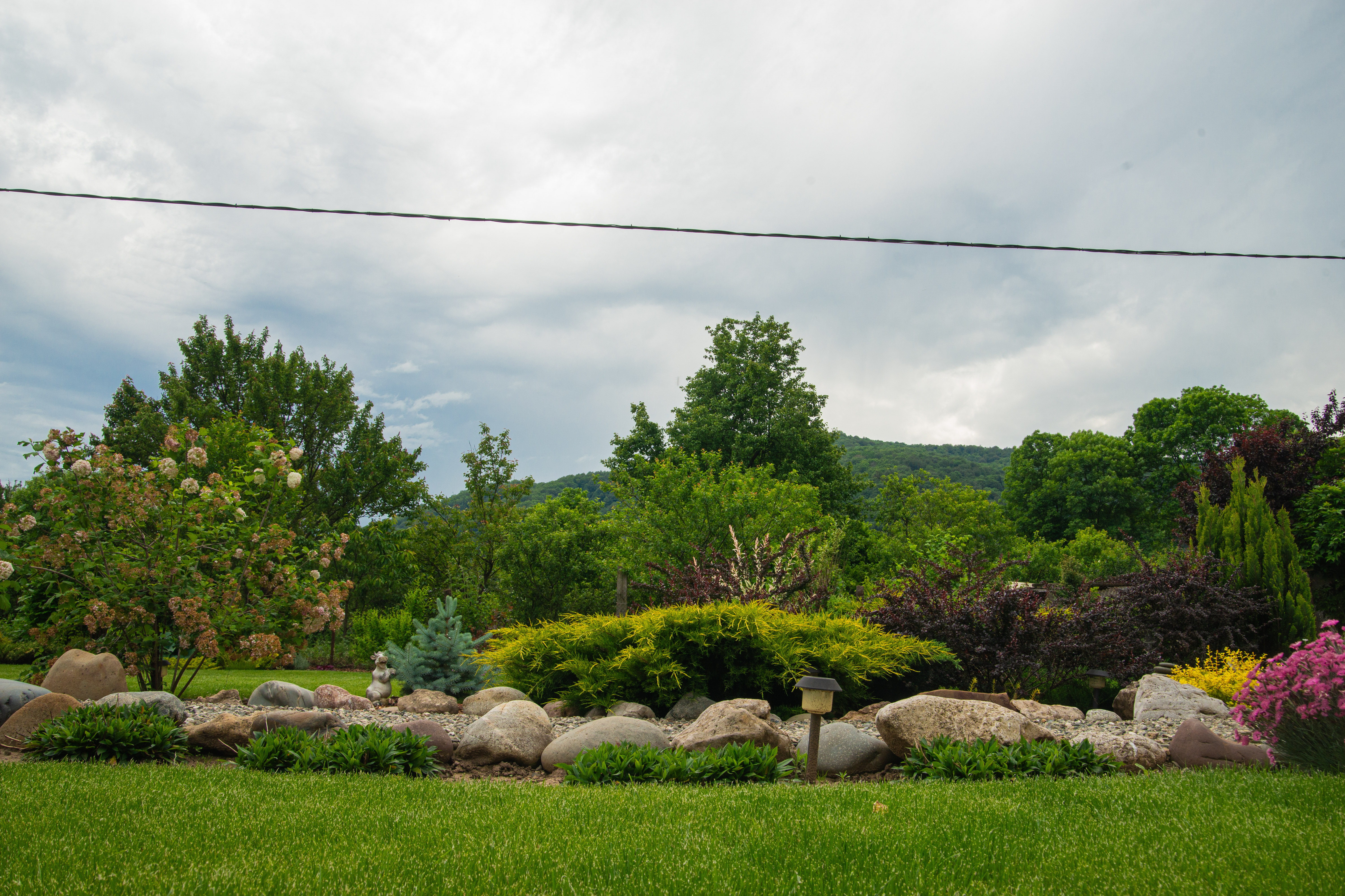 Территория